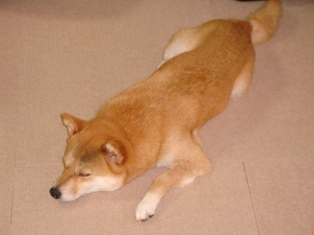 んと、あとちょっと