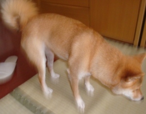 緊張するの