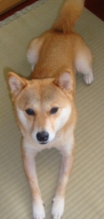 ここもしかしてひんやりするの