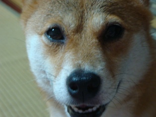なおさら良心が痛む