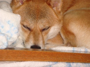 ねむねむzzz