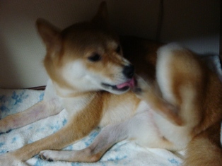 まぁ、いいよ