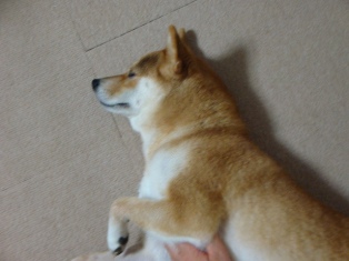 おなか撫でて