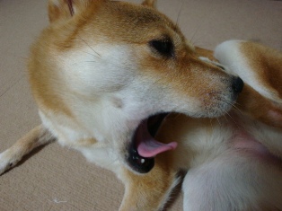 ア~ップ