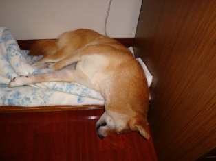 あそこで冒険して・・・