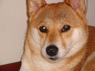 あたちのこと?