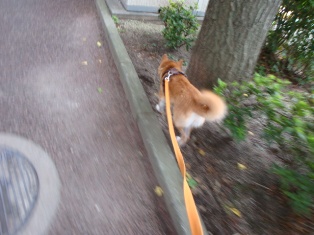 わぁ~~!!!