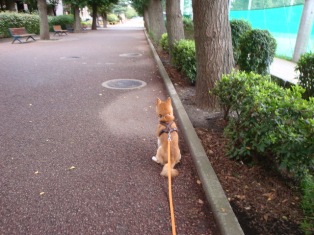 背中だけ見ると落ち着いてる