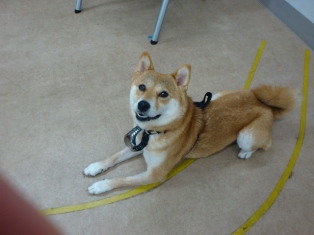ねぇ