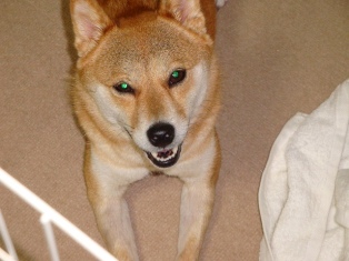 んと、ビミョウかも