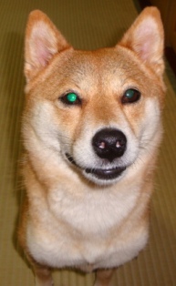 うふふ