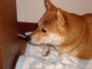 いや、信じられません!!