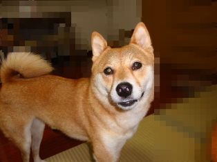 なぁに