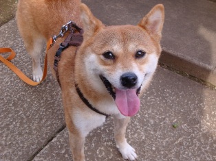 おつかれさま