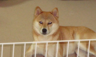 慌てて撮ったから切れちゃったけど