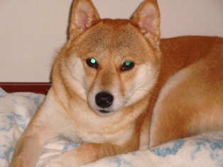 うきうきしてるの