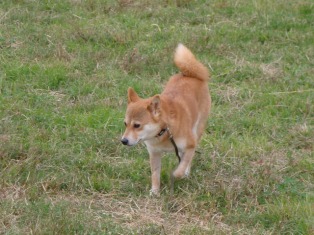 カメラが向かってないと