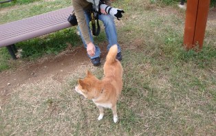 いやん
