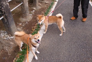 たのしいね