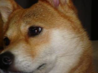 なに思ふ