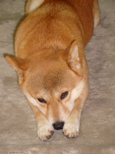 なぁに