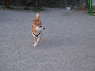 うふふ