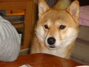 じぃ~