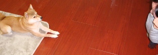 もう帰っちゃうの? うん、またね。