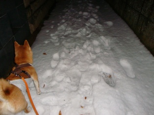 まるで雪国