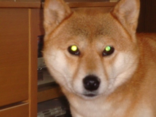んん!それ何?