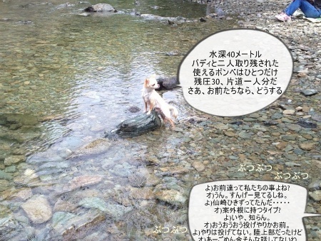new_070.jpg
