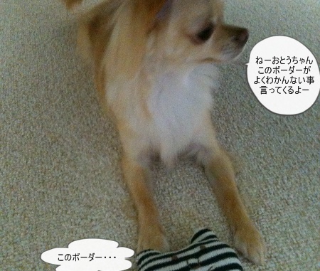 new_208.jpg