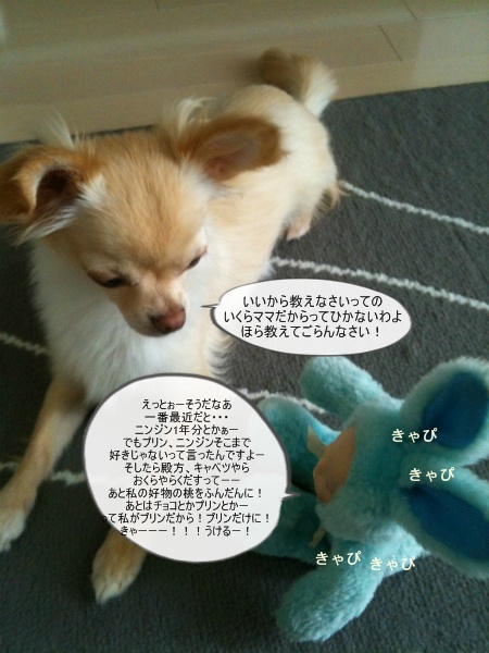 new_300_20120820201727.jpg