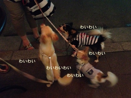 new_323.jpg