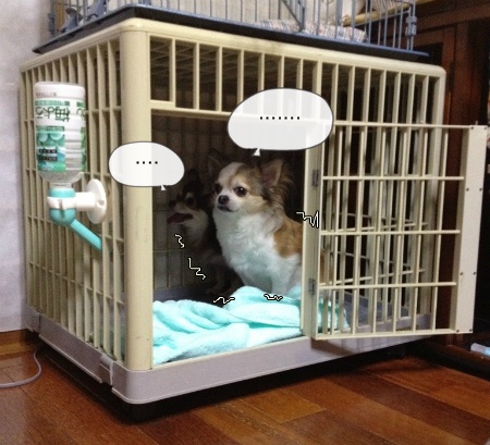 new_416.jpg