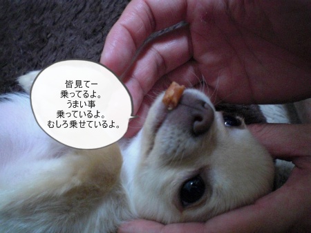 new_CIMG2642.jpg