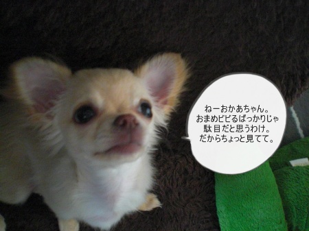 new_CIMG2845.jpg