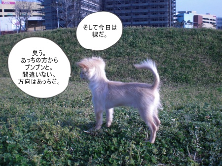 new_CIMG2861.jpg