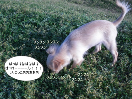 new_CIMG2864.jpg