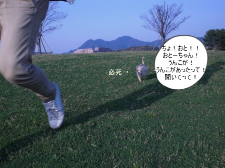 new_CIMG2872_20120519132713.jpg