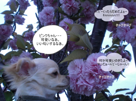 new_CIMG2952.jpg