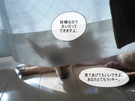 new_CIMG3029.jpg