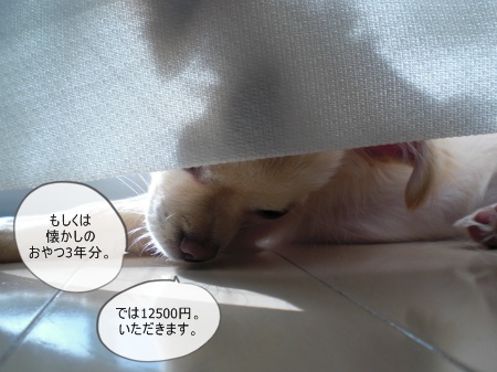 new_CIMG3031.jpg