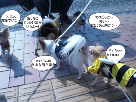 new_CIMG3120.jpg