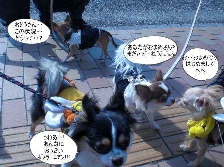 new_CIMG3121.jpg