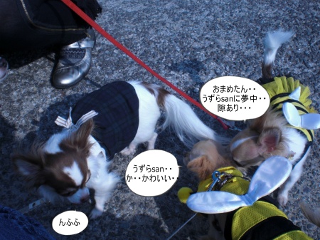 new_CIMG3127.jpg