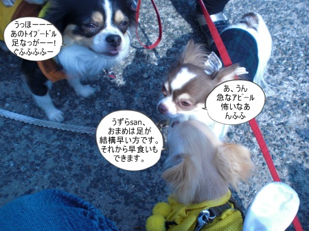 new_CIMG3128.jpg
