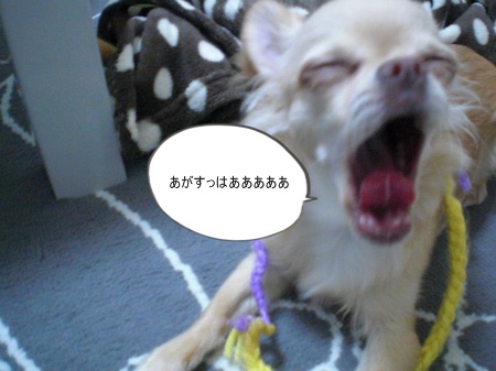 new_CIMG3317.jpg