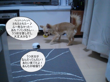 new_CIMG3369.jpg