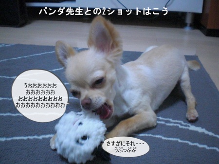 new_CIMG3450.jpg